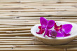 femininity and wellbeing with orchid flowers