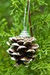 Photo: cône de pin, décoration sapin de Noël cône de pin, décoration sapin de Noël