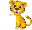 cute baby tiger posing with blank sign