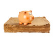 Piggy bank on the old book