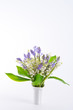 Lily of the Valley and Scilla