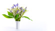 Lily of the Valley and Scilla