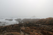 Rocky beach in a foggy afternoon