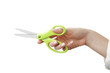 Scissors in Hand