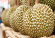 durian fruit