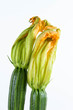 Zucchine