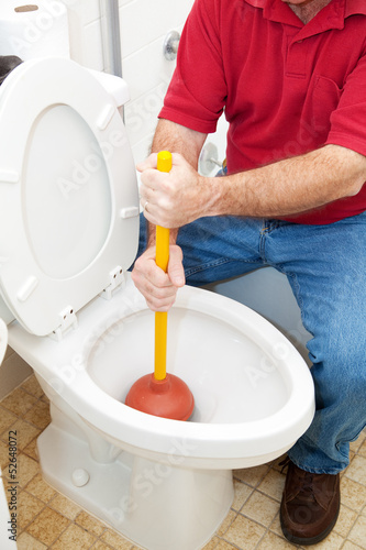 Photo: Plunging the Toilet Plunging the Toilet