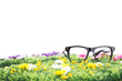 Enjoy the summertime on a beautiful flower meadow!
