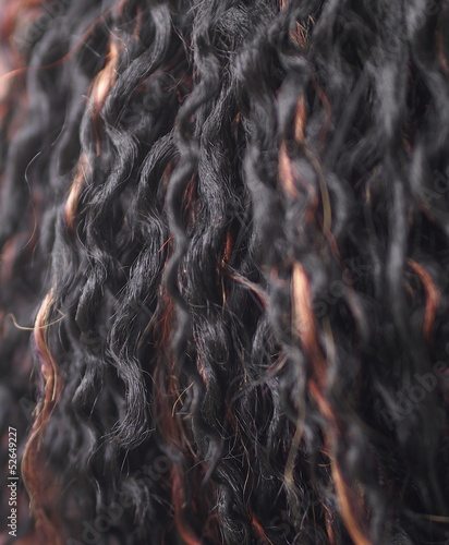 Photo: Schwarze Dreadlocks mit braunen Strähnen Schwarze Dreadlocks mit braunen Strähnen