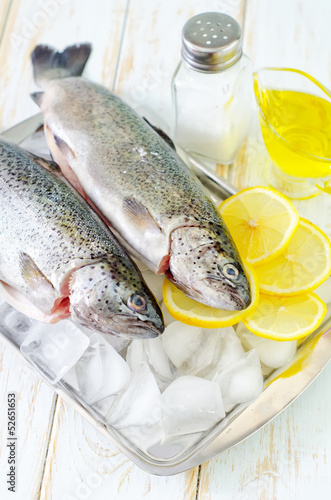 Photo: raw fish raw fish