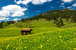 Alm in den bayerischen Alpen