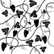 Vektor: Bunch of grapes, plant background Bunch of grapes, plant background
