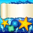 Starfish on scratched Paper Label-Stelle Marine su Sfondo Carta