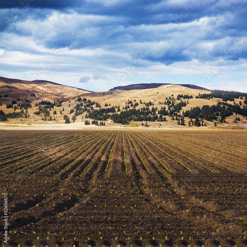 Photo: American Countryside Field In Colorado American Countryside Field In Colorado