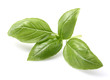 Basil spice