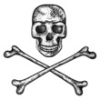 Vector illustration of skull and crossbones.