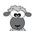 Funny Sheep