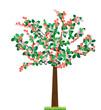 Flower Tree