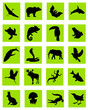 animal silhouette green icons