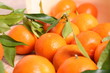Mandarinen
