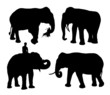 realistic silhouettes of asian elephant set