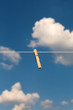 Clothespin.