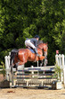 Saut d'obstacles.