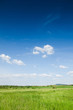 green field background