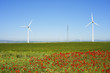 wind energy