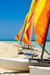 Catamarans with colorful sails on a cuban beach
