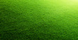 Green grass background