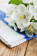 Table-napkin and bird cherry branch on a wooden background