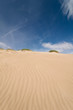 Dune abstract