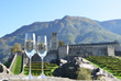 Pair of champagne glasses and grapes. Bellinzona, Switzerland