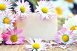 Geburtstagsgrüße mit Gänseblümchen