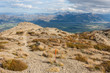 walking track across scree to Mt Isobel