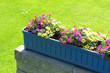Foto: bunter Blumenkasten im Garten bunter Blumenkasten im Garten