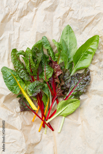 Photo: Rainbow Chard leaves(Beta vulgaris cicla) Rainbow Chard leaves(Beta vulgaris cicla)