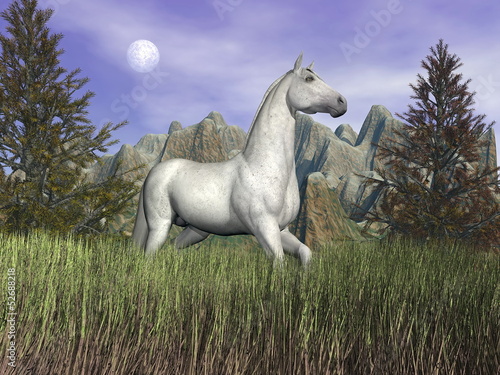 Illustration: White horse in the grass - 3D render White horse in the grass - 3D render
