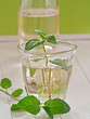Cocktail aus Sekt und Holundersirup mit frischer Minze