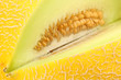 Gelbe Netzmelone
