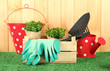 Garden tools on grass in yard