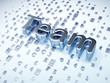 Business concept: Silver Team on digital background