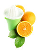 Citrus press and ripe oranges, isolated on white