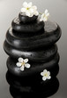 Foto: Spa stones and white flowers on dark background Spa stones and white flowers on dark background