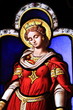 Vitraux, Reine, Blois