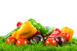 Fresh vegetable isolated on white background.  Healthy Eating. S
