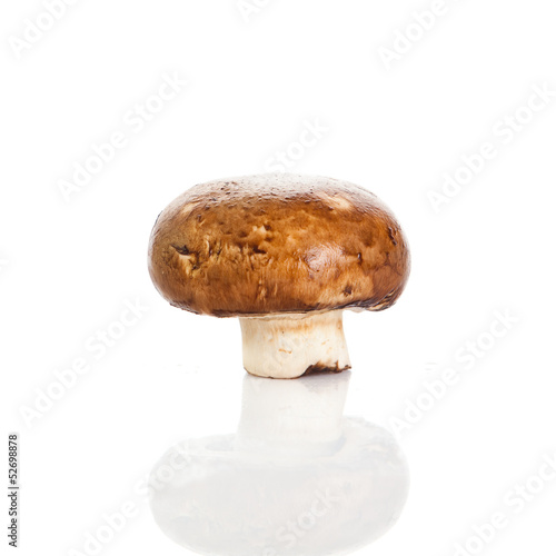 Photo: Fresh mushroom champignon isolated on white background . fresh Fresh mushroom champignon isolated on white background . fresh