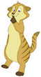 Illustration: Erdmännchen Erdmännchen