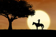 Photo: Horse rider silhouette at sunset in park Horse rider silhouette at sunset in park